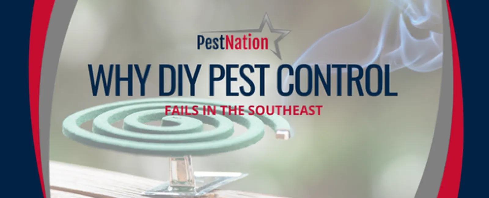Why DIY Pest Control Fails in the Southeast