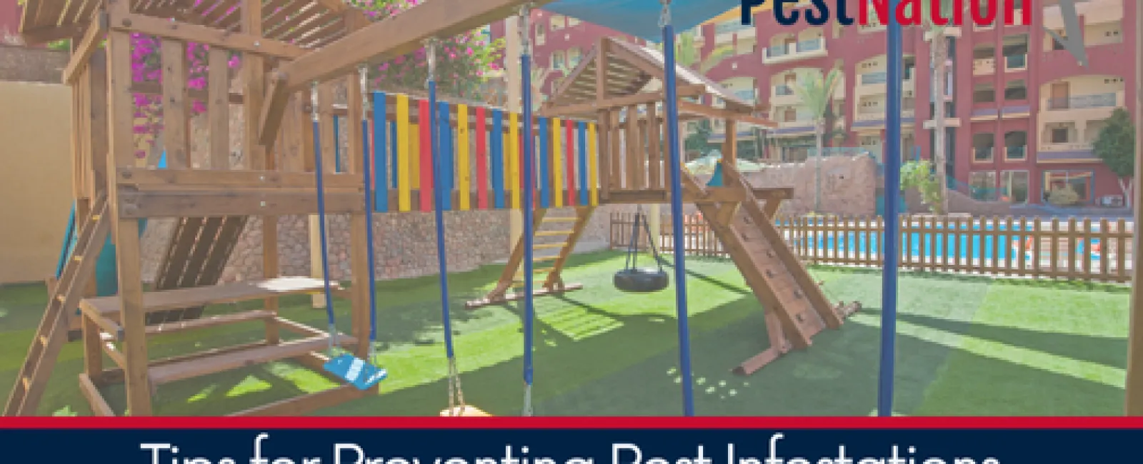 Tips for Preventing Pest Infestations in Outdoor Play Areas