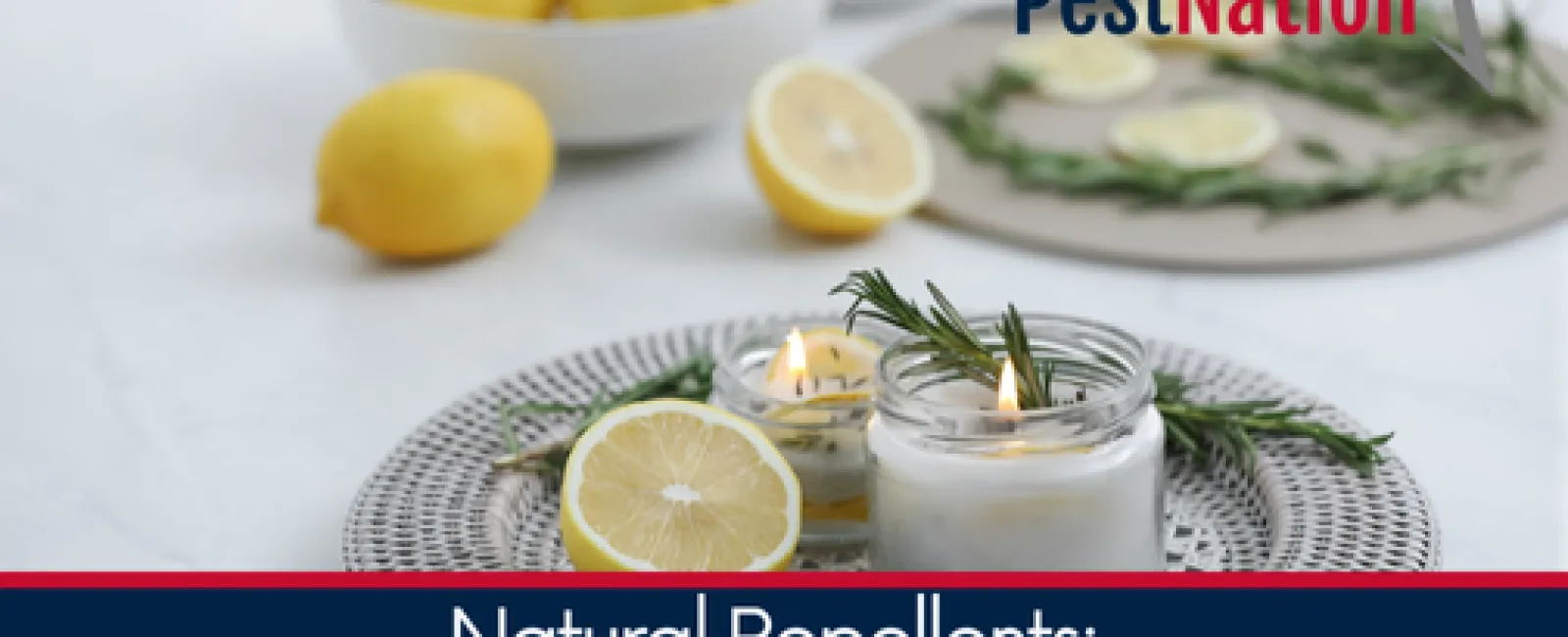 Natural Repellents: Do They Work in Pest Control?