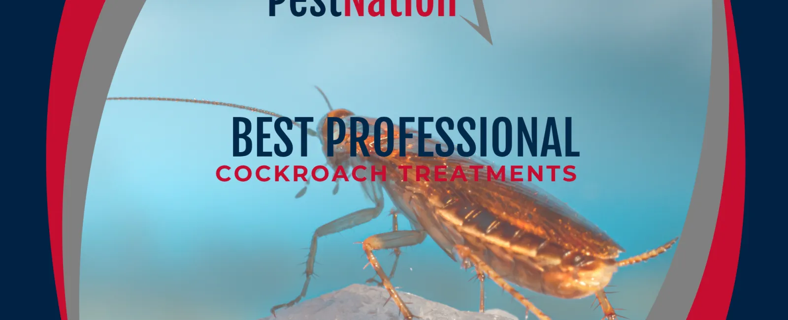 Best Professional Cockroach Treatments