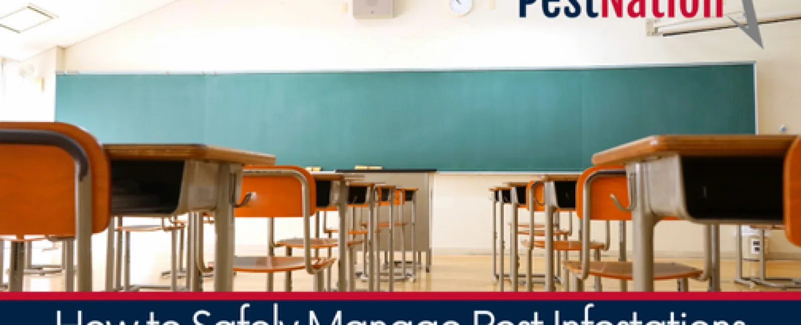 How to Safely Manage Pest Infestations in Schools and Educational Facilities