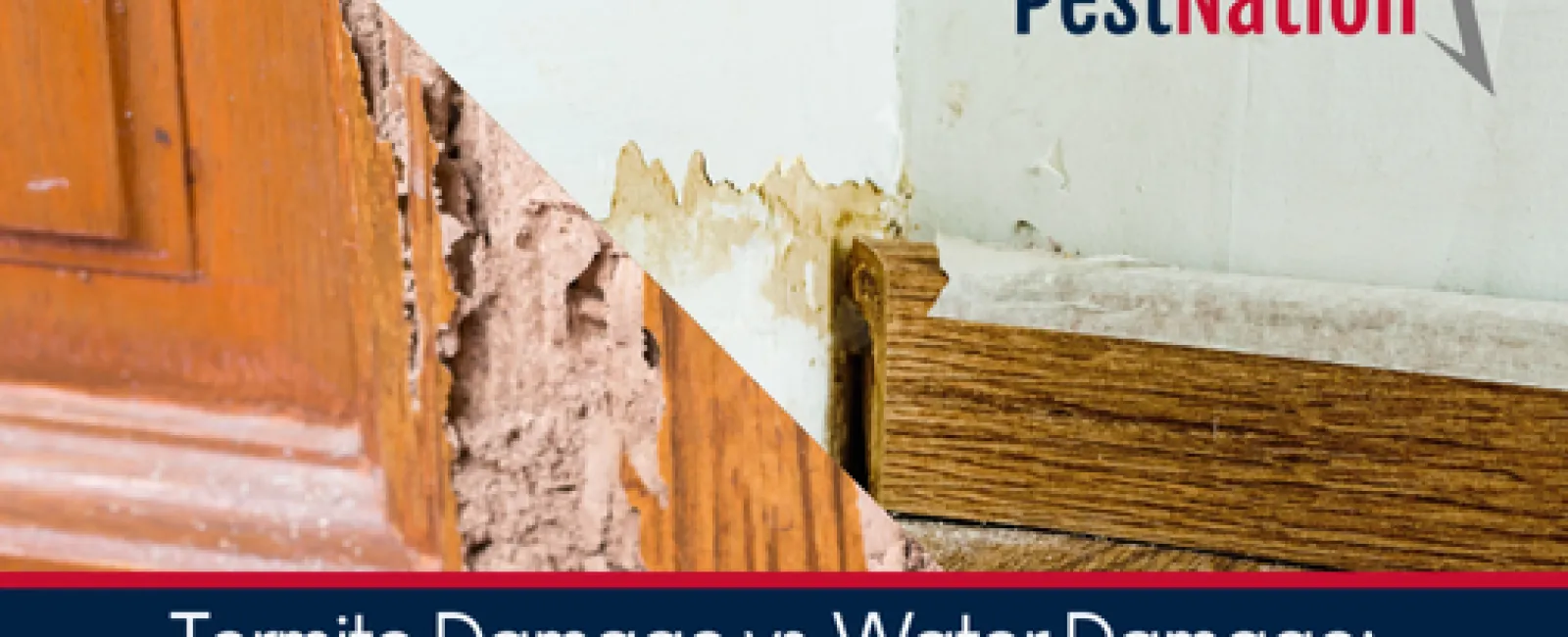Termite Damage vs. Water Damage: How to Tell the Difference