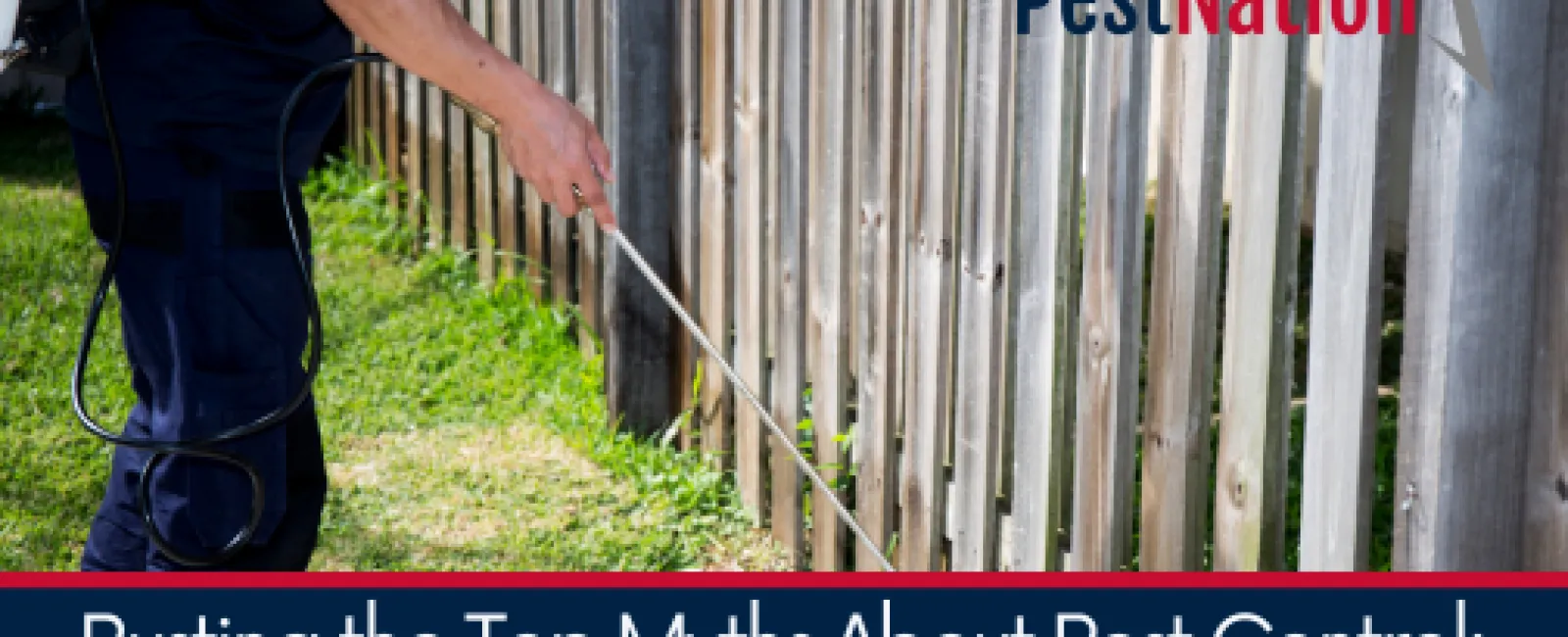 Busting the Top Myths About Pest Control: Insights from Pest Control Experts