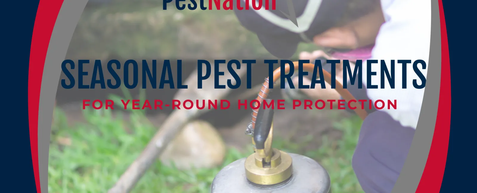 Seasonal Pest Treatments for Year-Round Home Protection