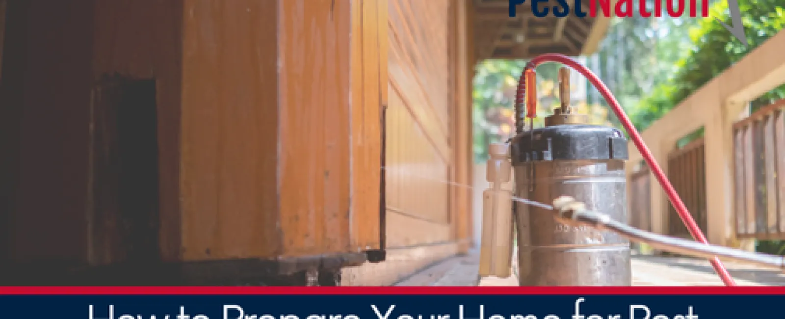 How to Prepare Your Home for Pest Control Treatment: A Step-by-Step Guide