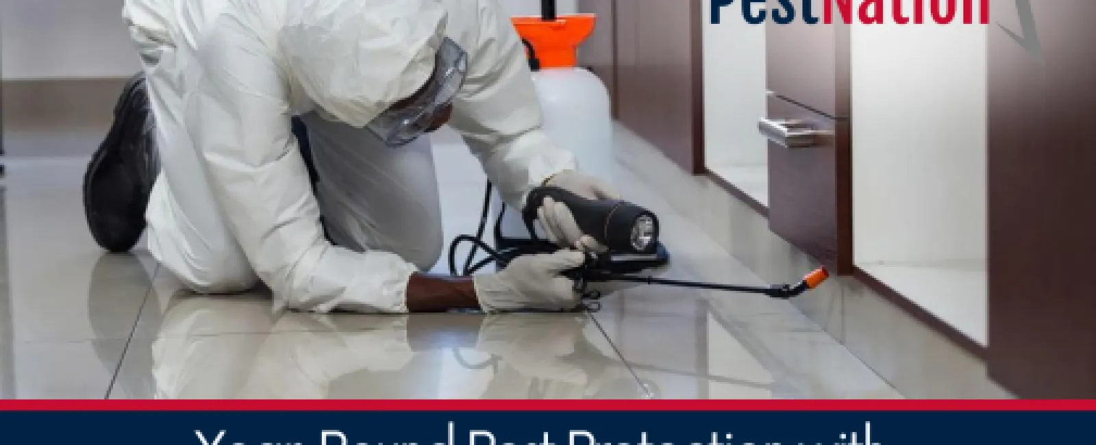 Year-Round Pest Protection with PestNation’s Full-Service Plan