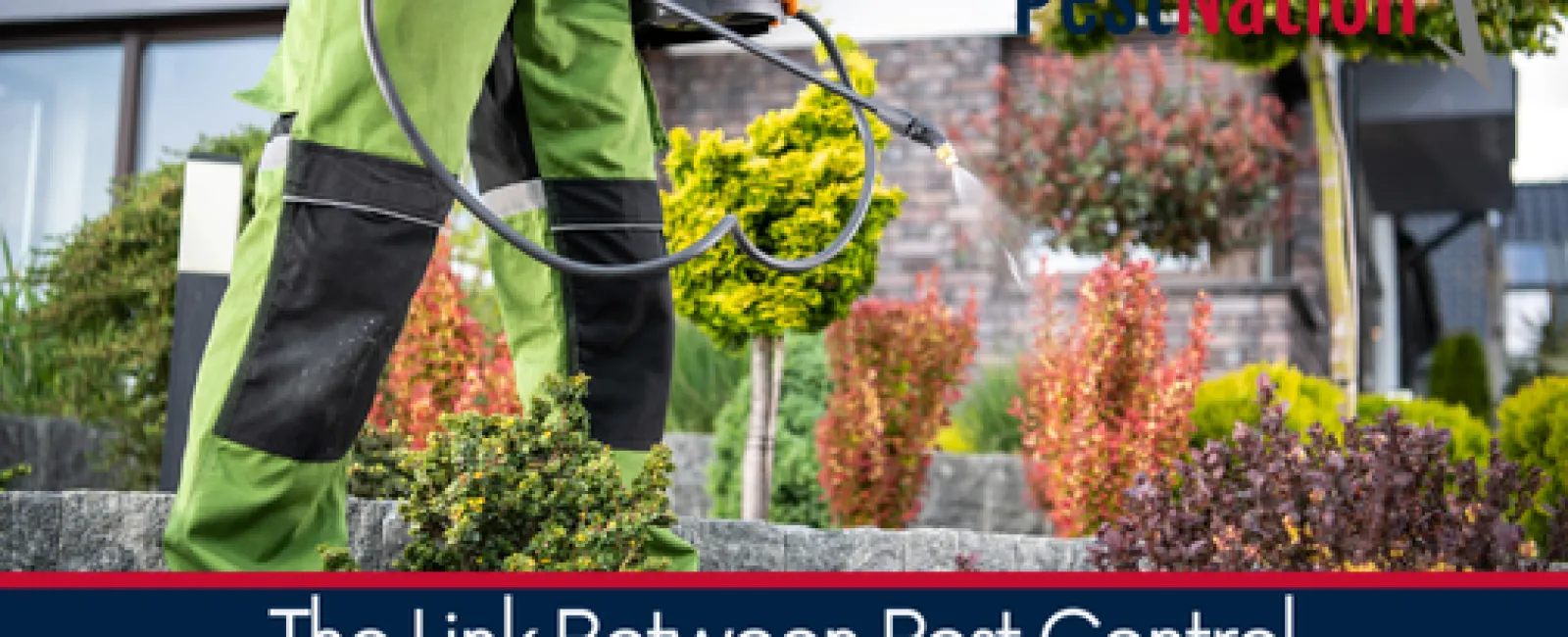 The Link Between Pest Control and Public Health