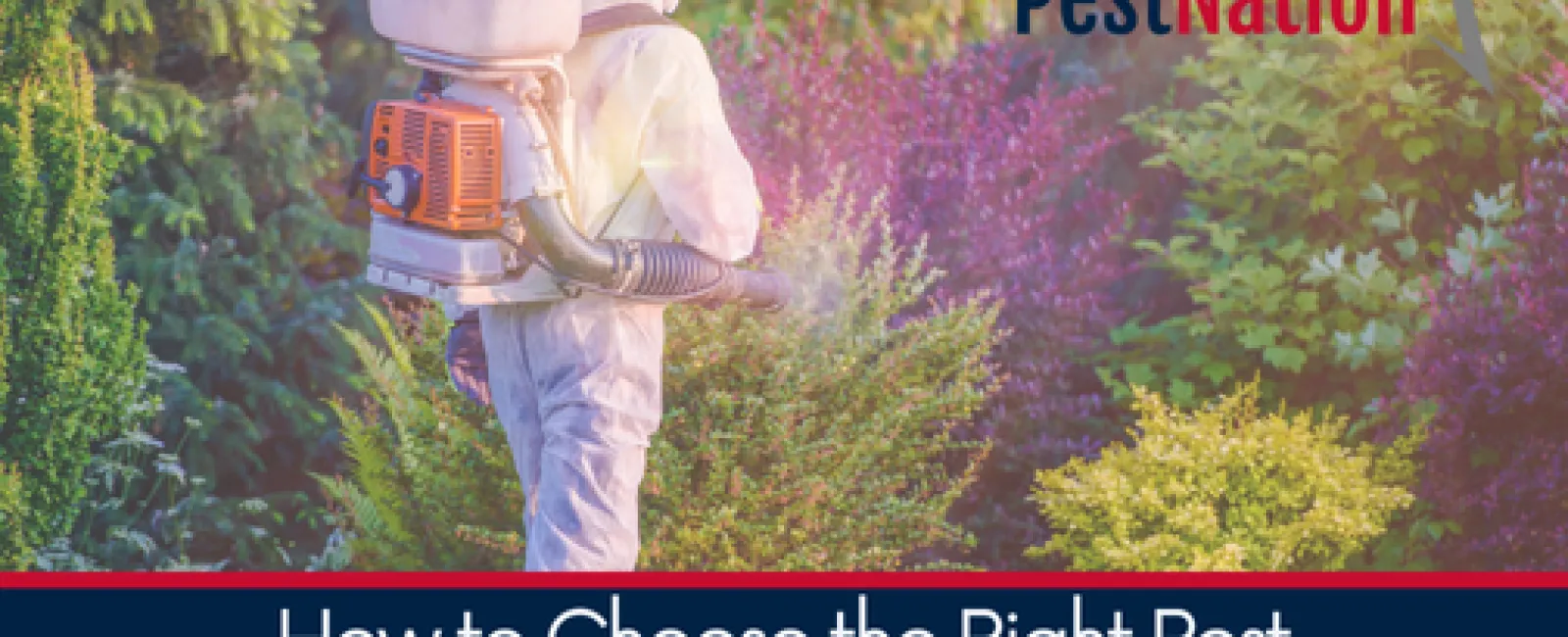How to Choose the Right Pest Control Service for Your Business