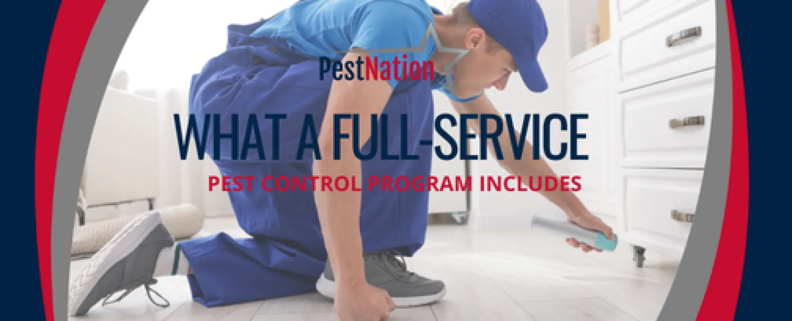 What a Full-Service Pest Control Program Includes