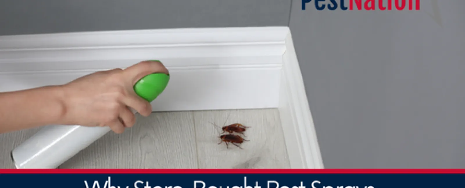 Person spraying pest control on cockroaches in a home environment.