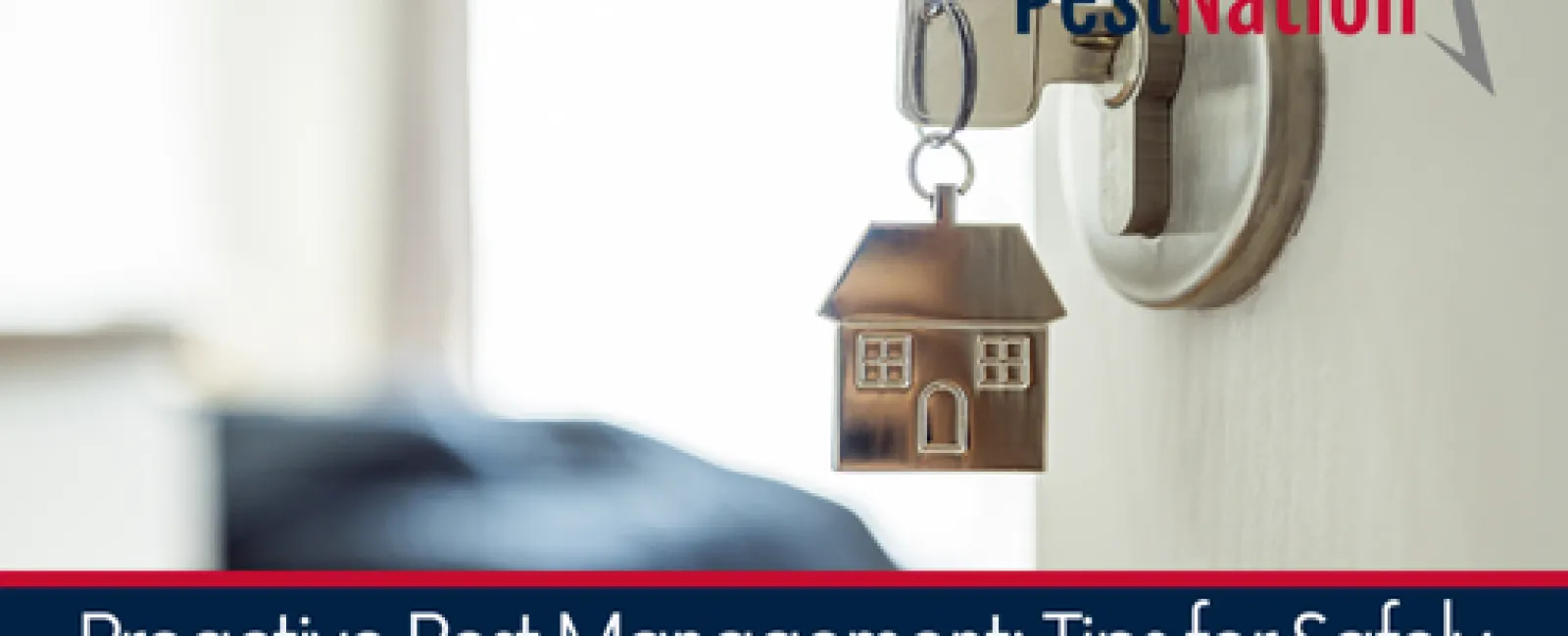 Proactive Pest Management: Tips for Safely Handling Pest Infestations in Rental Properties