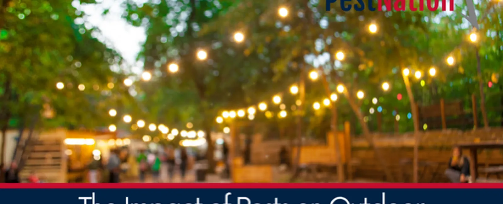 The Impact of Pests on Outdoor Events and Gatherings
