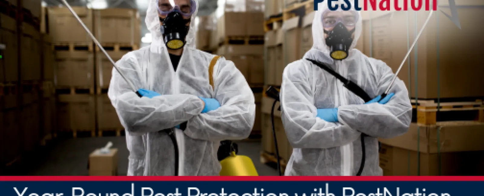 Year-Round Pest Protection with PestNation – Why Ongoing Pest Management Matters