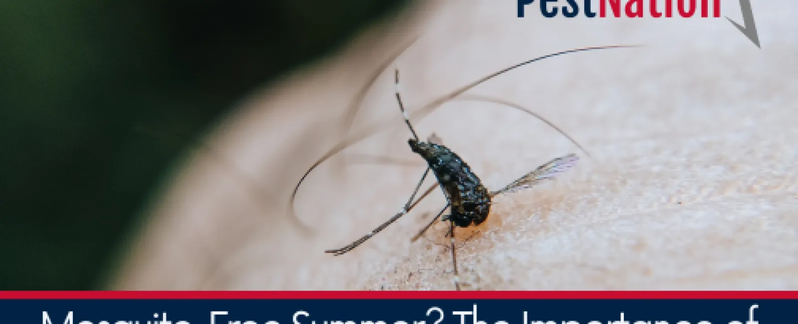 Why Do You See More Spiders in May?