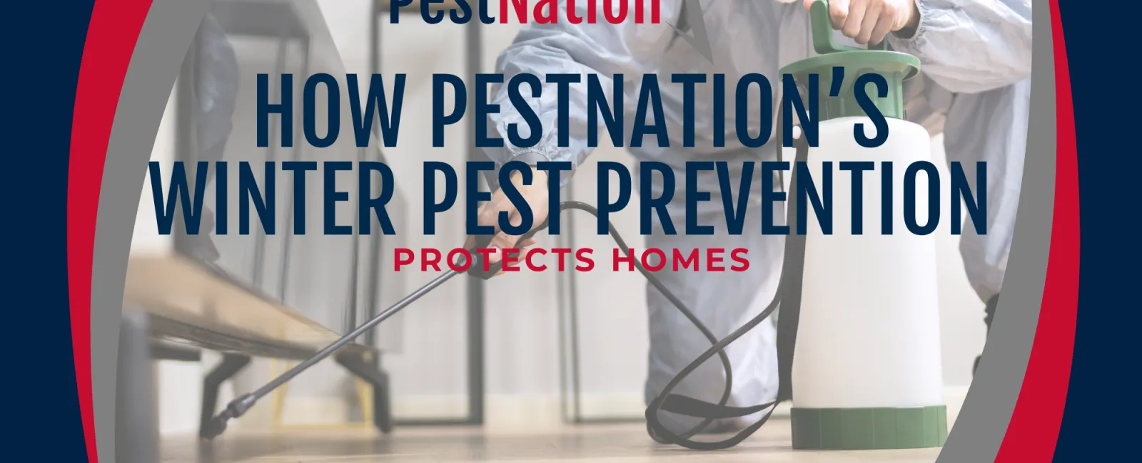 How PestNation’s Winter Pest Prevention Protects Homes