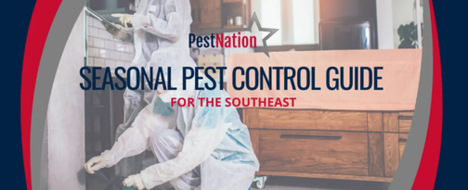Seasonal Pest Control Guide for the Southeast