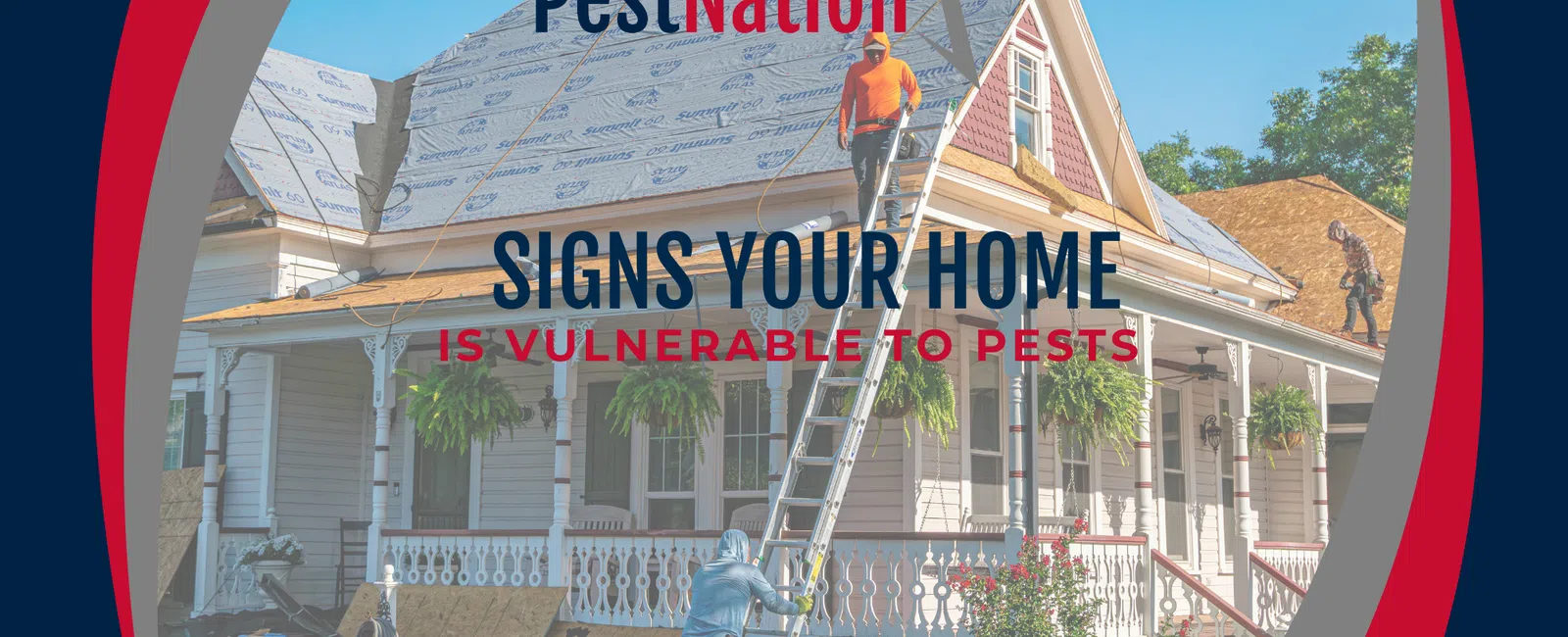 Signs Your Home Is Vulnerable to Pests