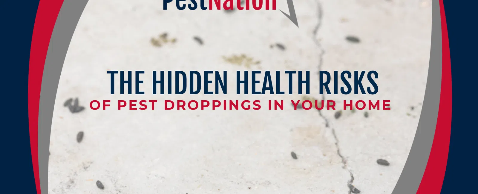 The Hidden Health Risks of Pest Droppings in Your Home