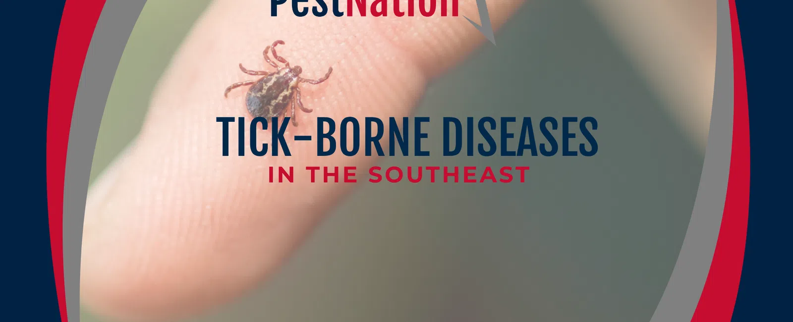 Tick-Borne Diseases in the Southeast