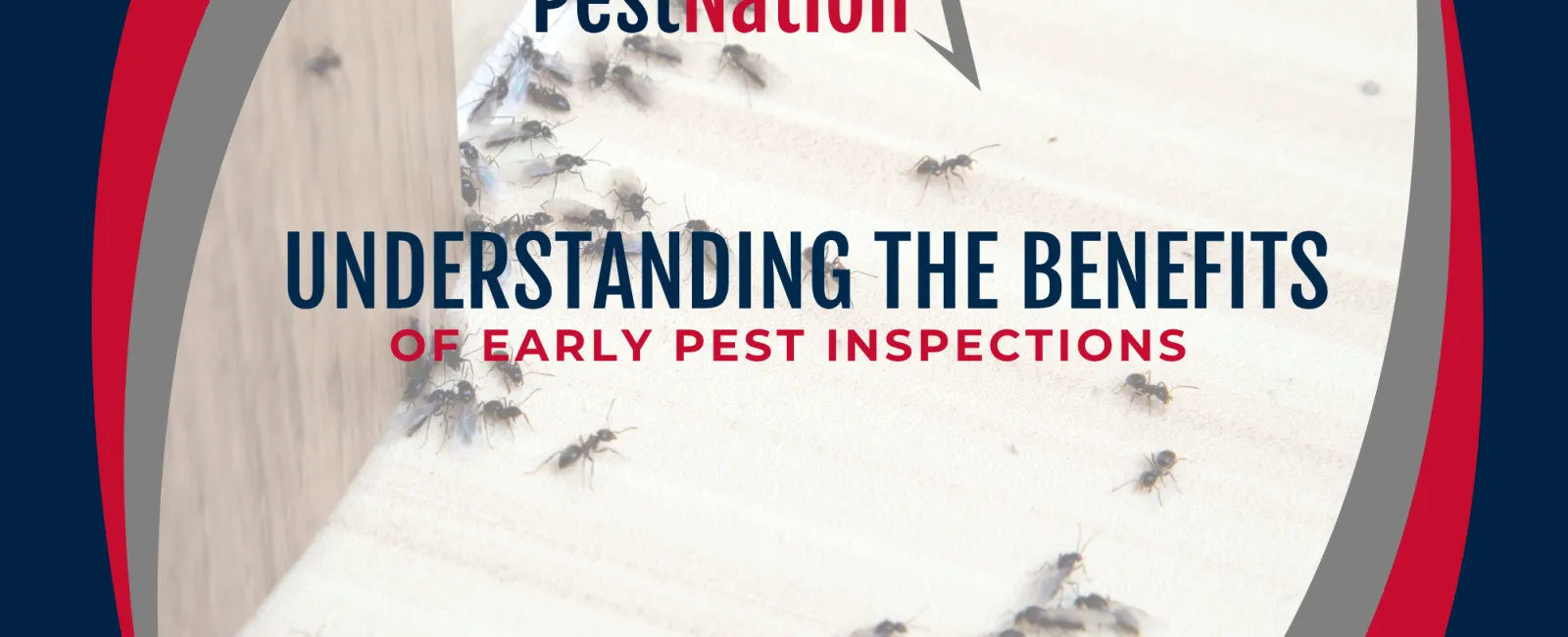Understanding the Benefits of Early Pest Inspections