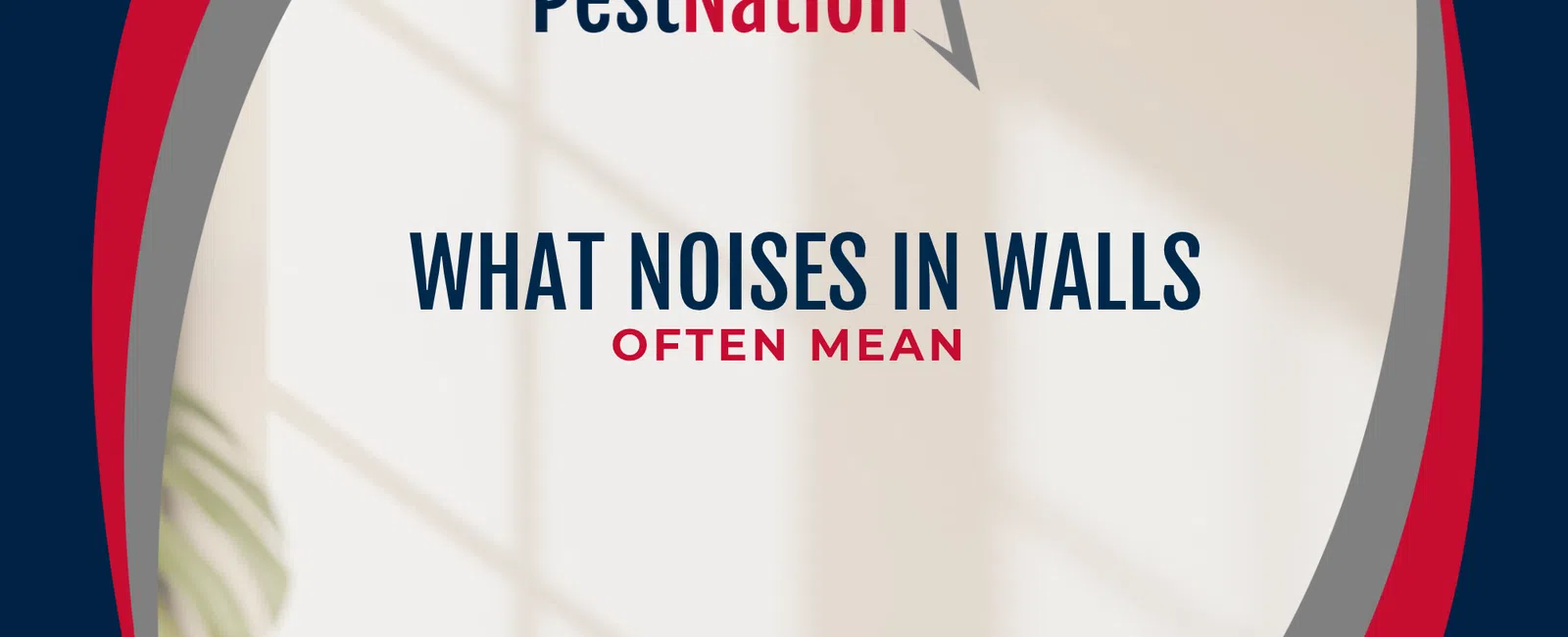 What Noises in Walls Often Mean