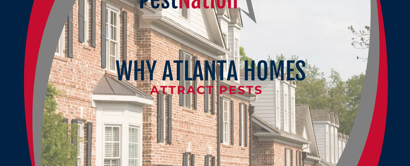 Why Atlanta Homes Attract Pests