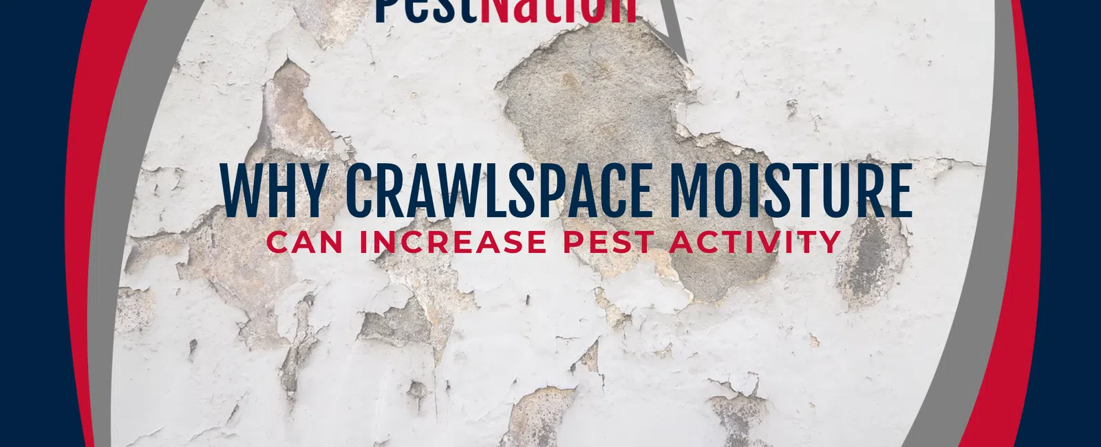 Why Crawlspace Moisture Can Increase Pest Activity