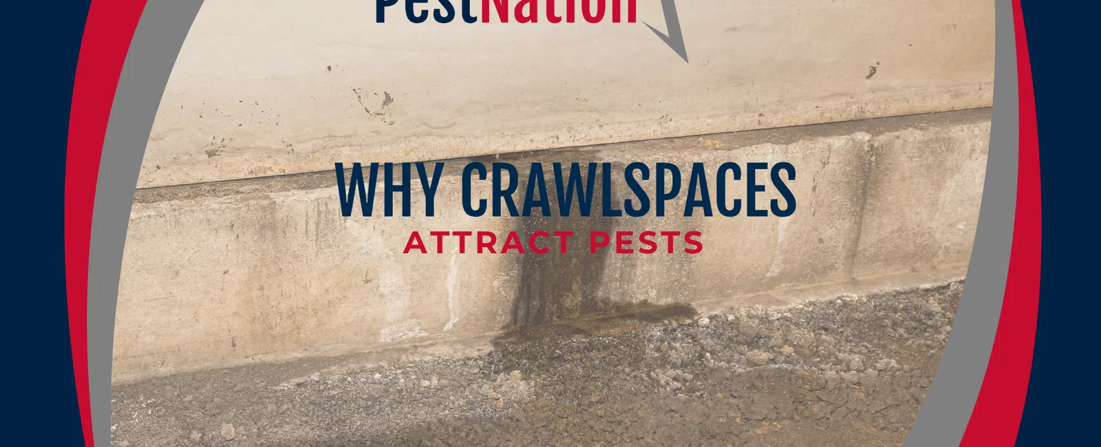 PestNation graphic explaining why crawlspaces attract pests with concrete crawlspace floor and wall.