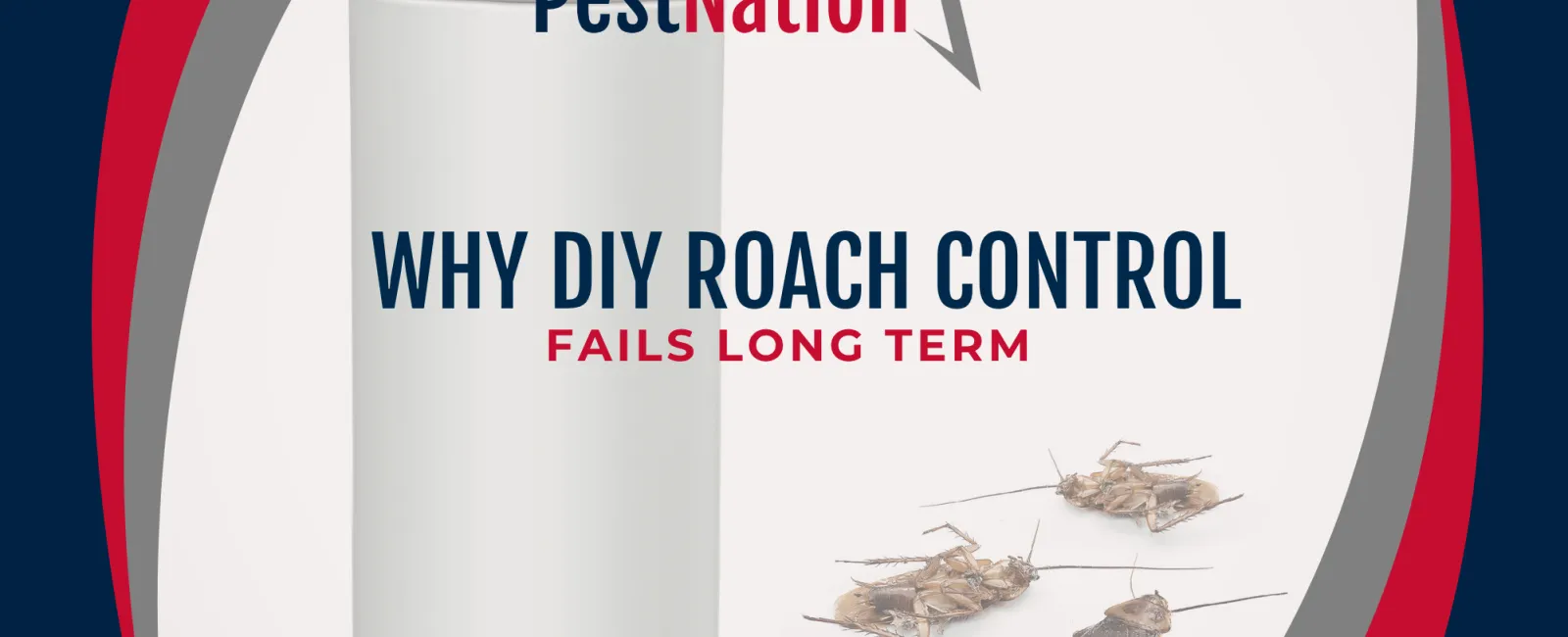 Why DIY Roach Control Fails Long Term