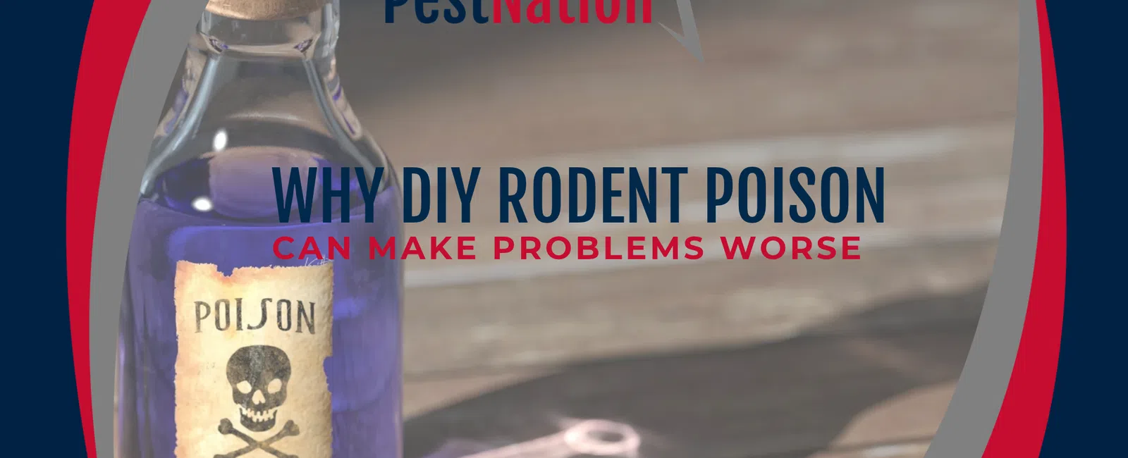 Why DIY Rodent Poison Can Make Problems Worse
