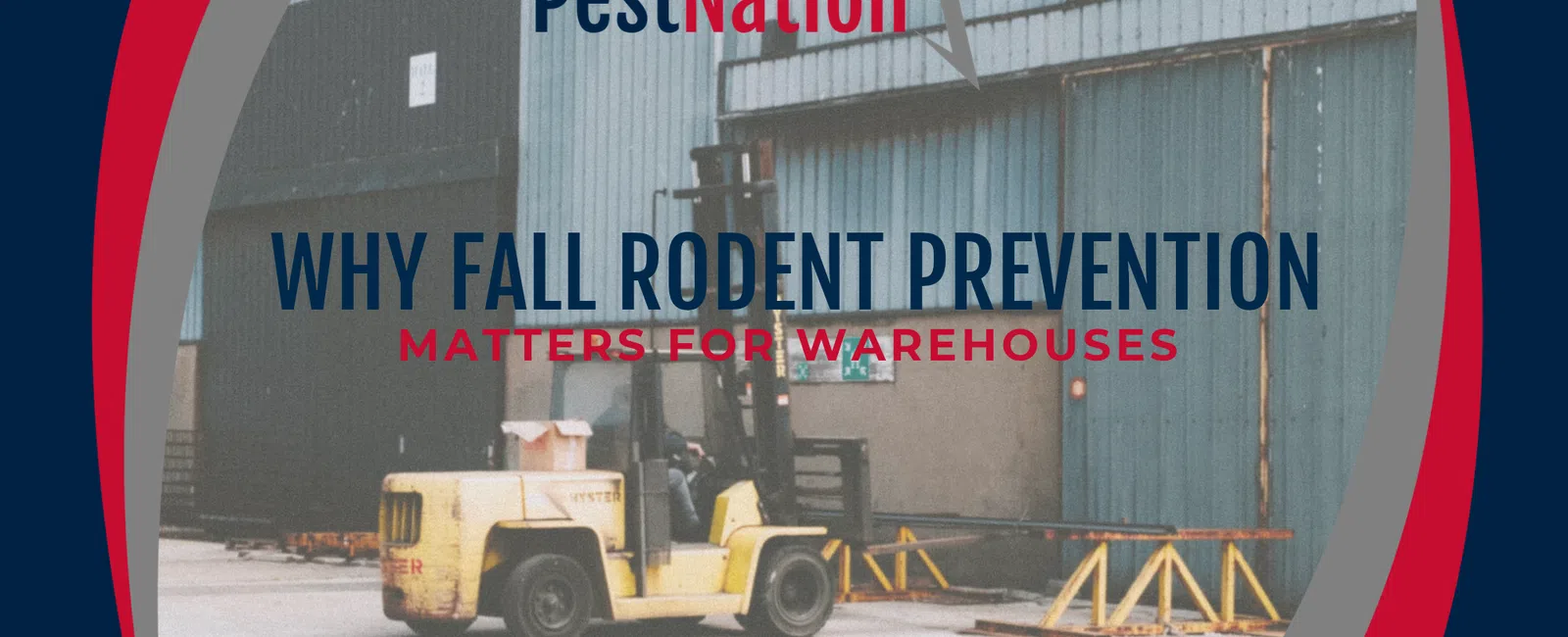 Why Fall Rodent Prevention Matters for Warehouses
