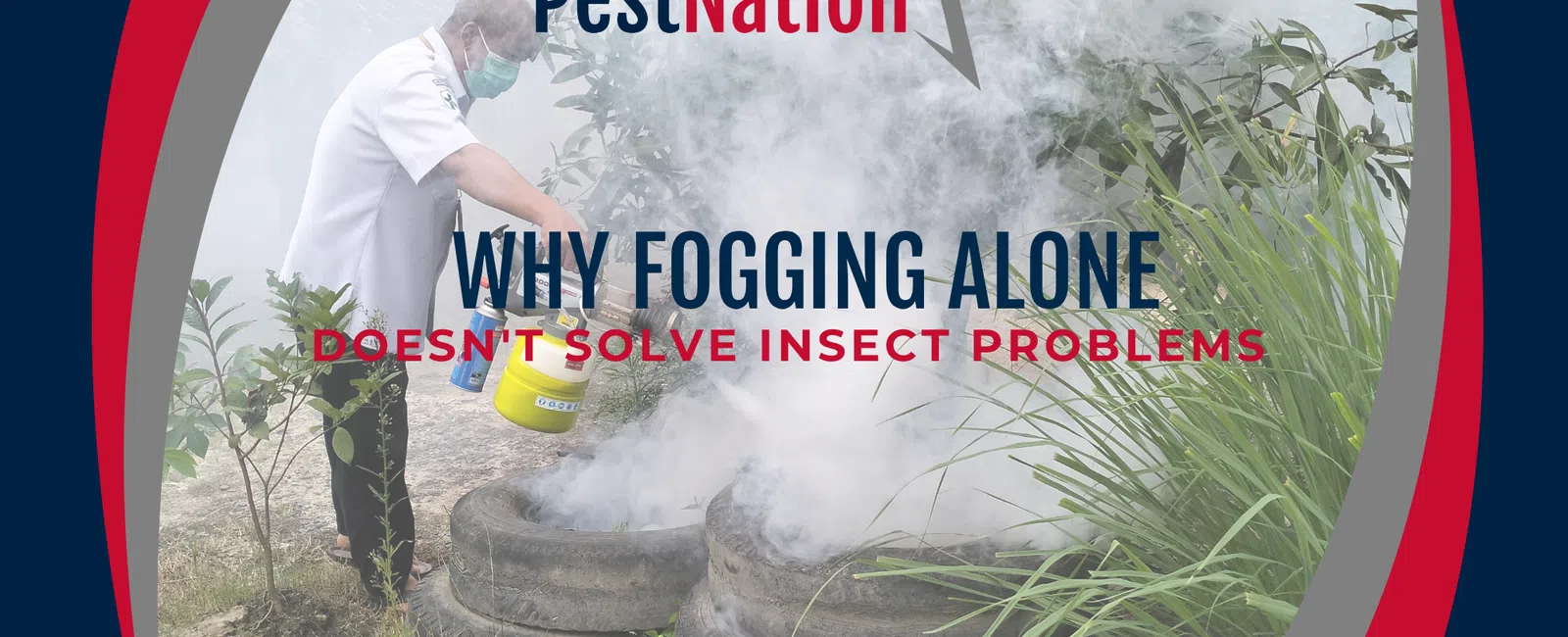 Why Fogging Alone Doesn't Solve Insect Problems