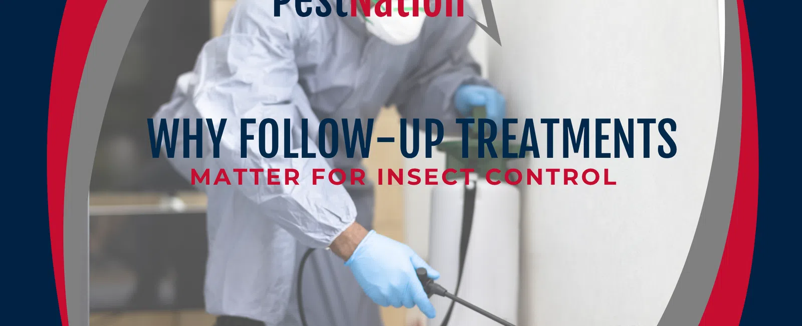 Why Follow-Up Treatments Matter for Insect Control