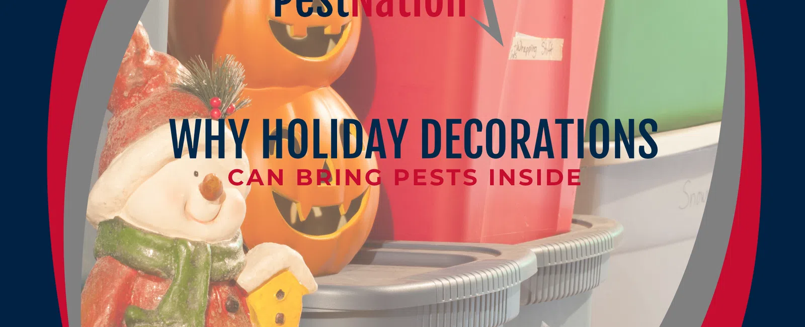 Why Holiday Decorations Can Bring Pests Inside