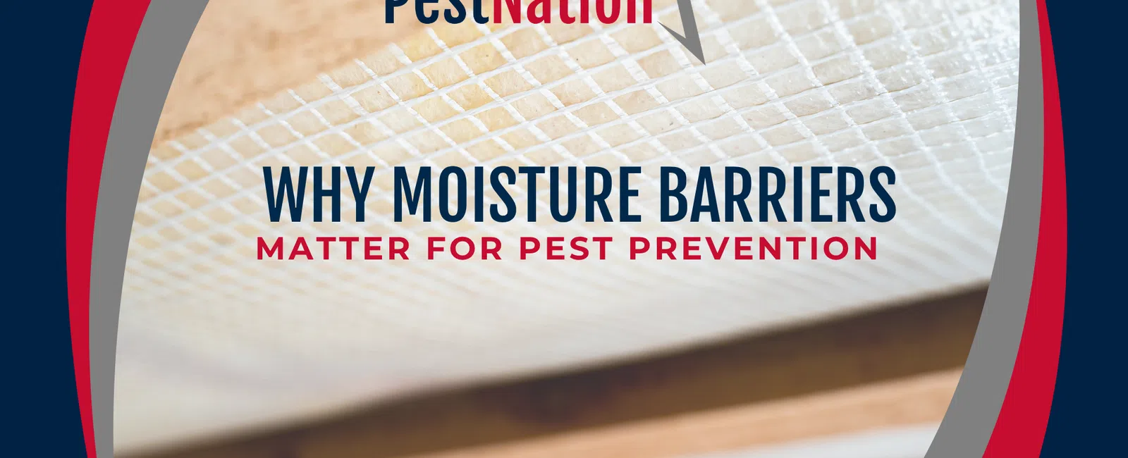 Why Moisture Barriers Matter for Pest Prevention