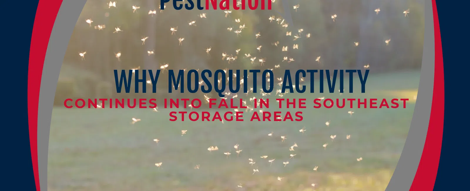 Why Mosquito Activity Continues Into Fall in the Southeast