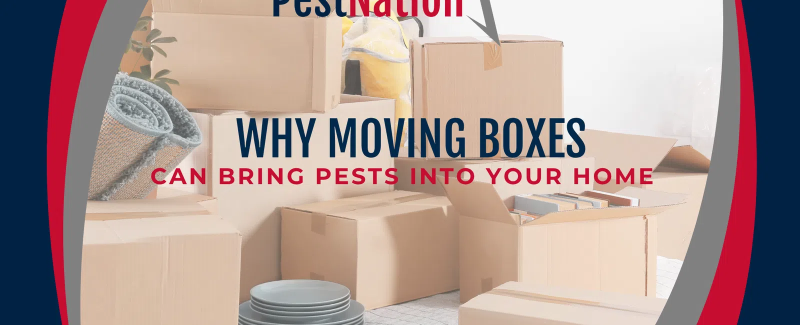 Why Moving Boxes Can Bring Pests Into Your Home