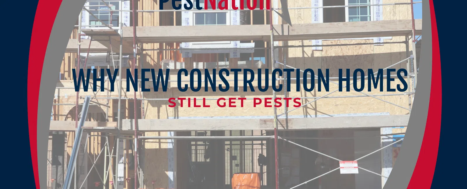Why New Construction Homes Still Get Pests