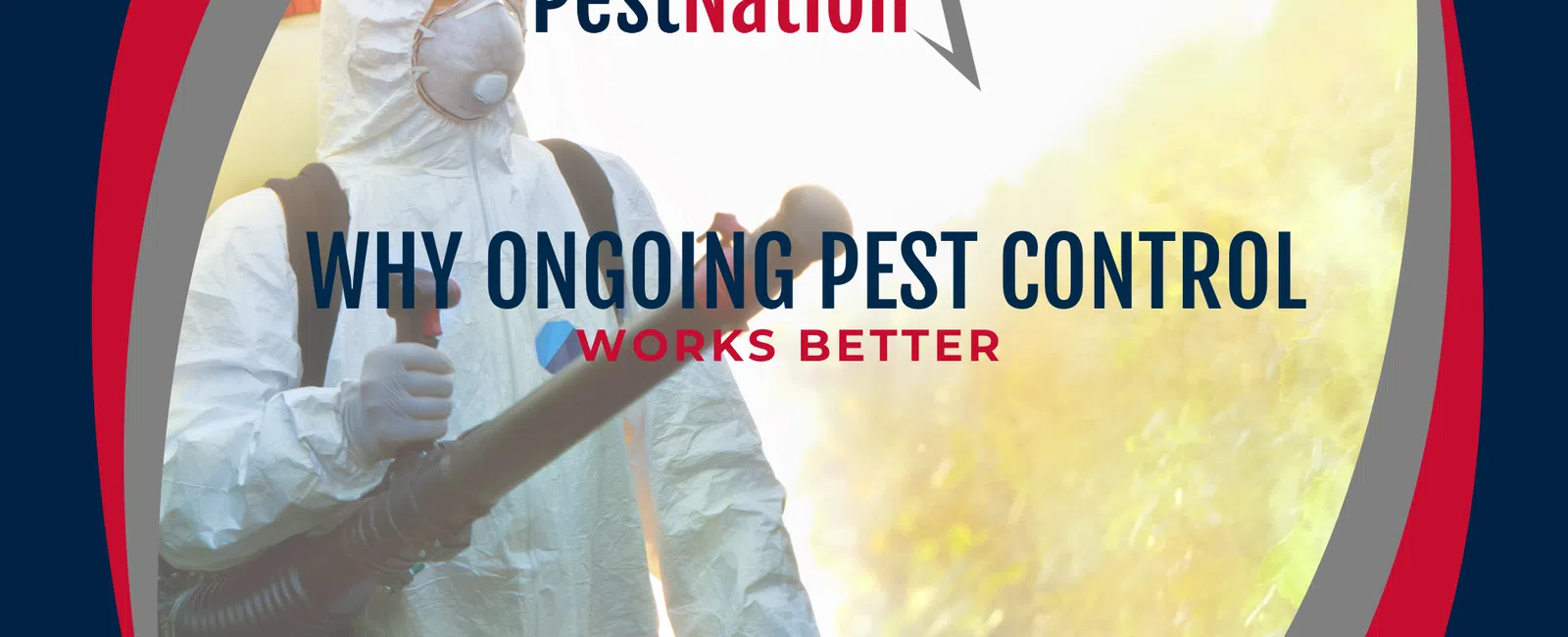 Why Ongoing Pest Control Works Better