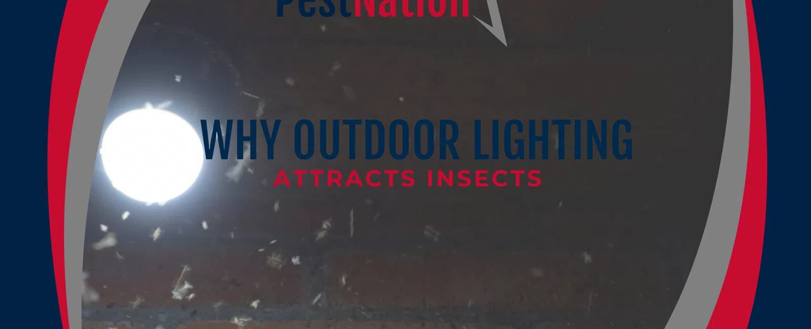 Why Outdoor Lighting Attracts Insects
