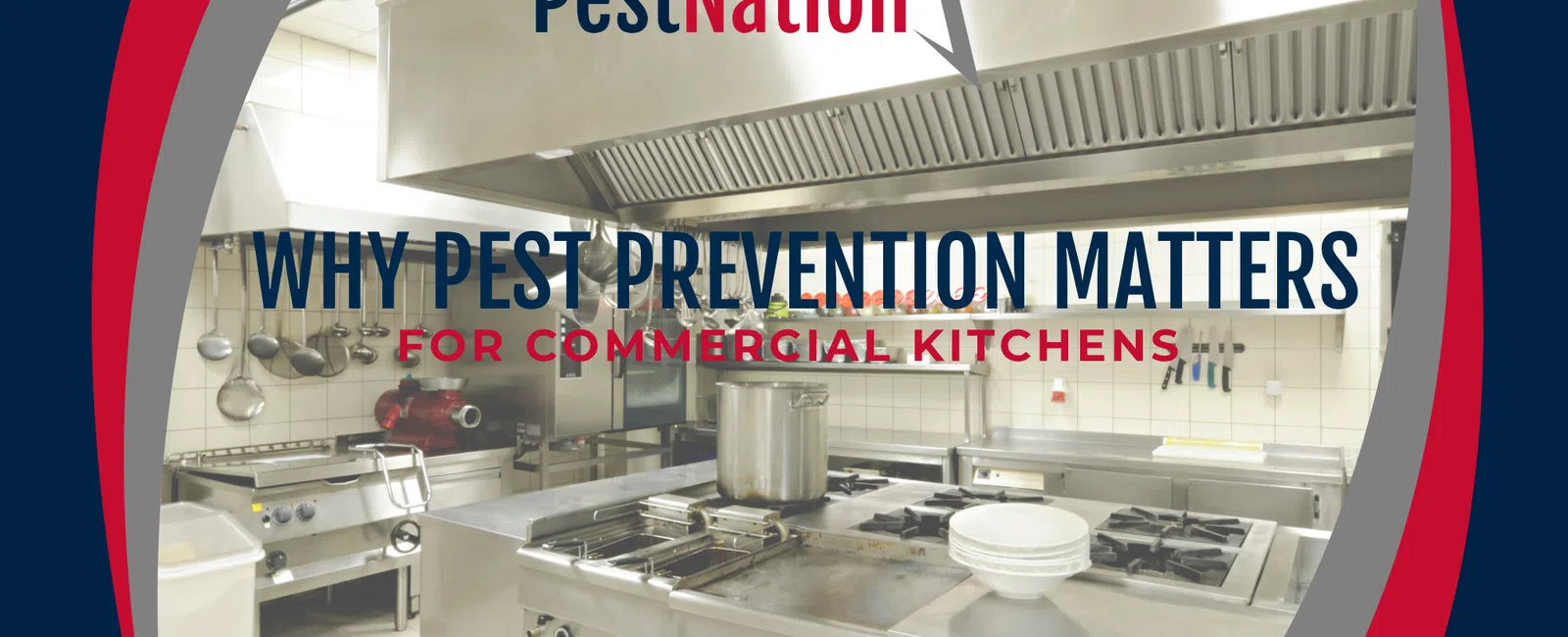 Why Pest Prevention Matters for Commercial Kitchens