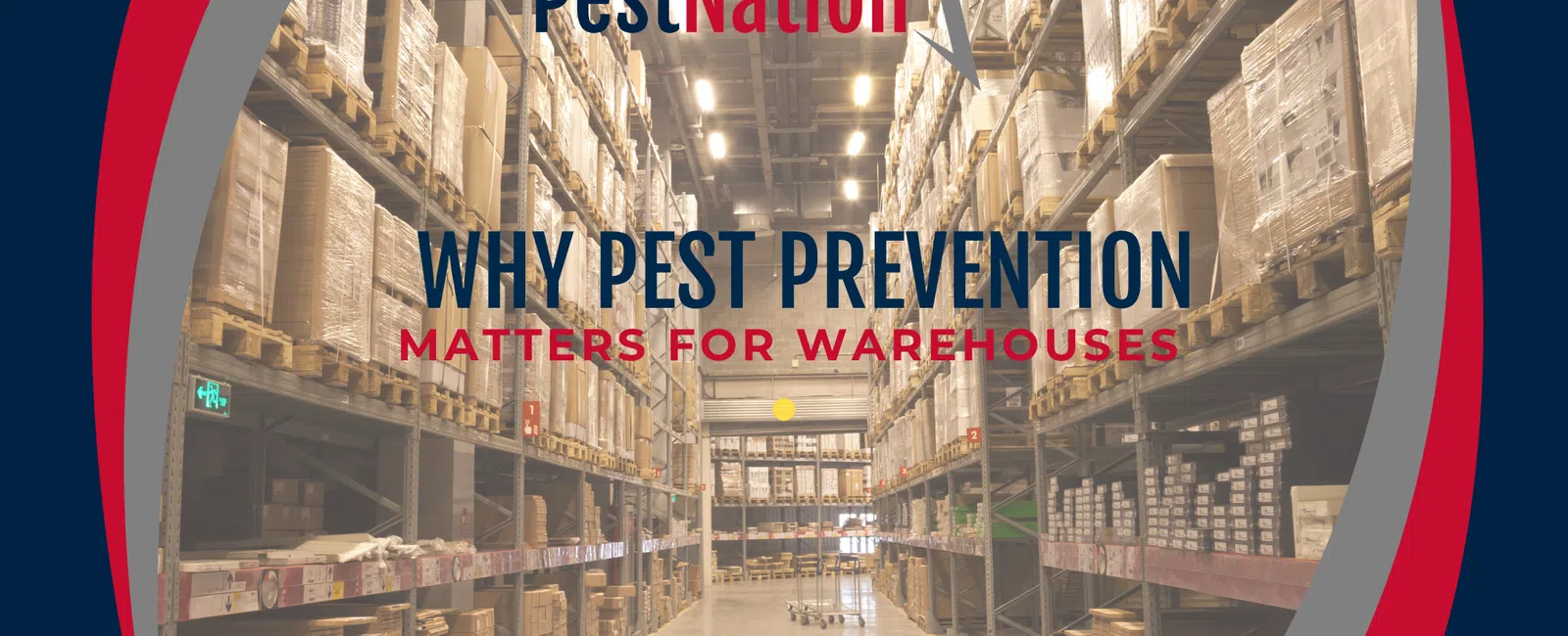 Why Pest Prevention Matters for Warehouses