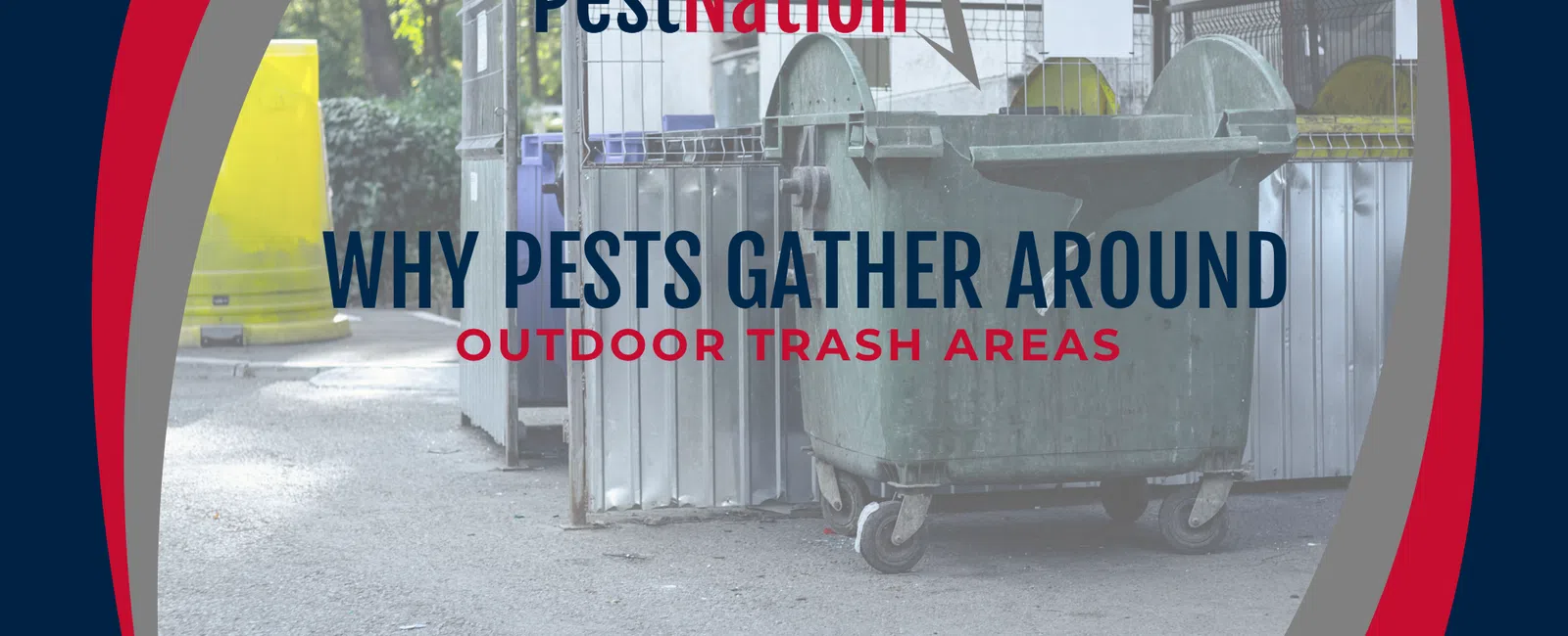 Why Pests Gather Around Outdoor Trash Areas