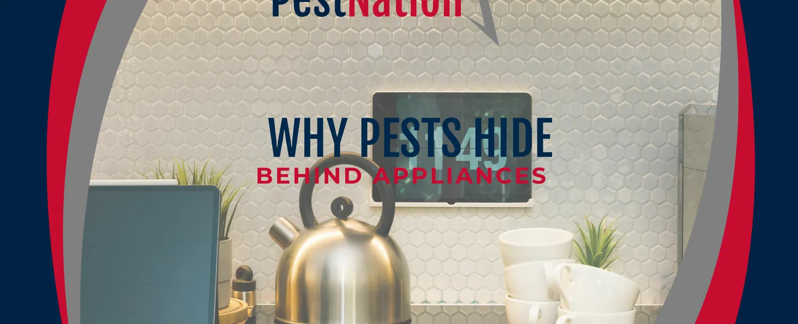 Why Pests Hide Behind Appliances