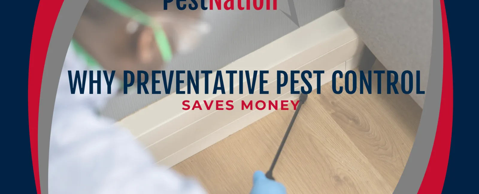 Why Preventative Pest Control Saves Money