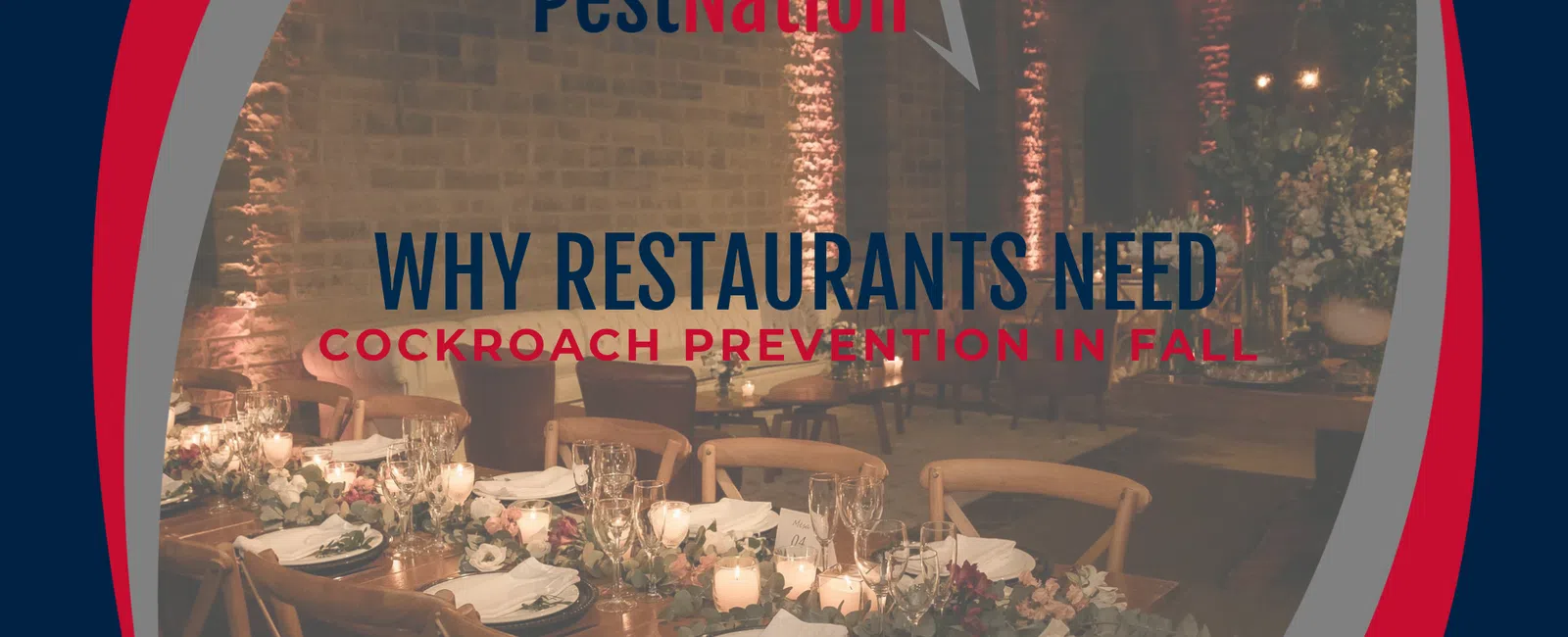 Why Restaurants Need Cockroach Prevention in Fall
