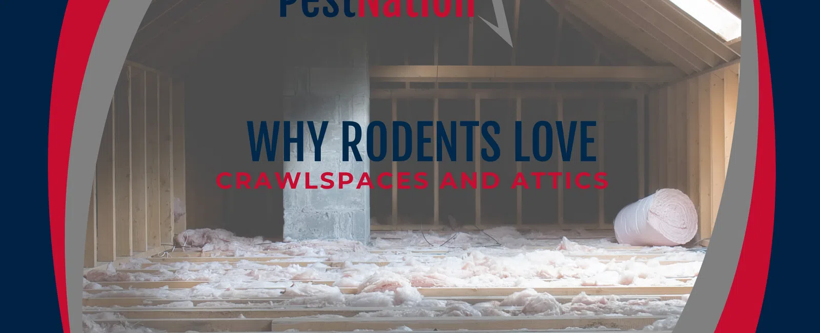 Why Rodents Love Crawlspaces and Attics