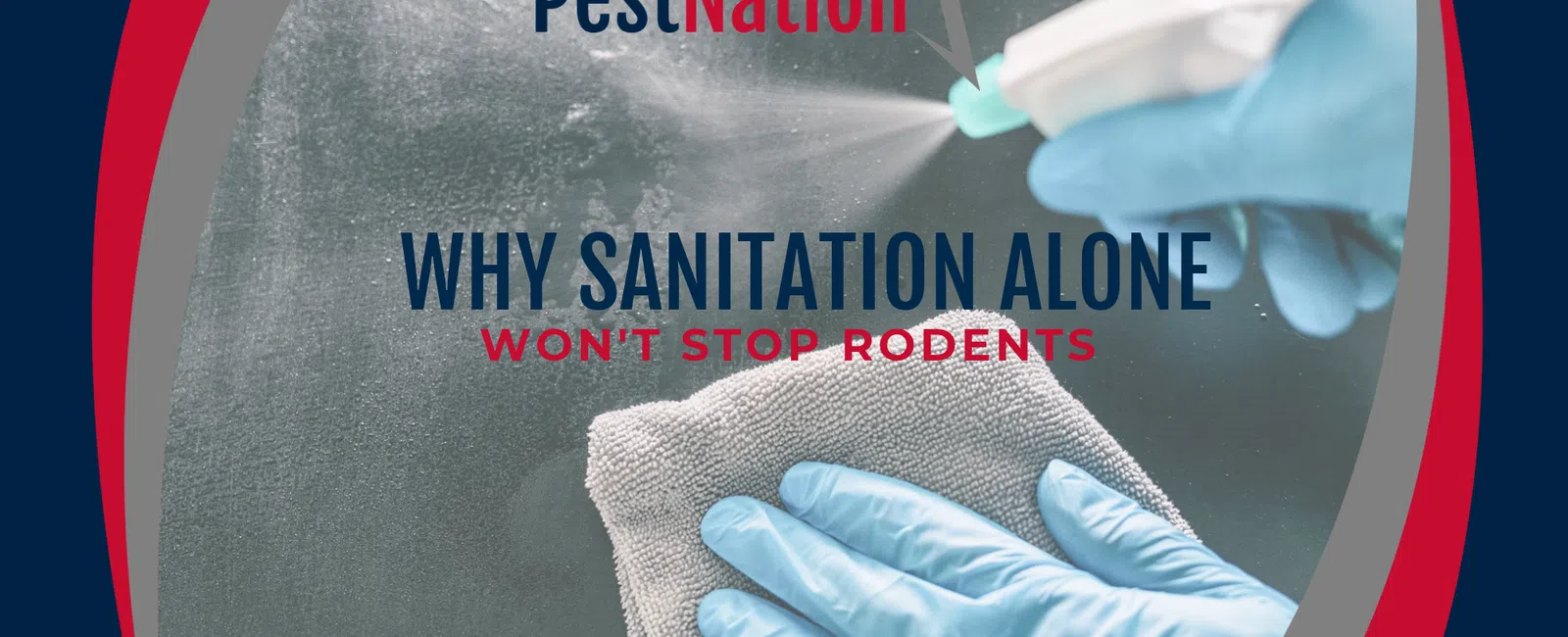 Why Sanitation Alone Won't Stop Rodents