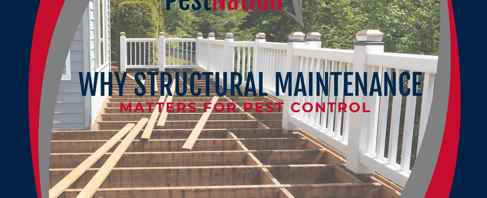 Why Structural Maintenance Matters for Pest Control