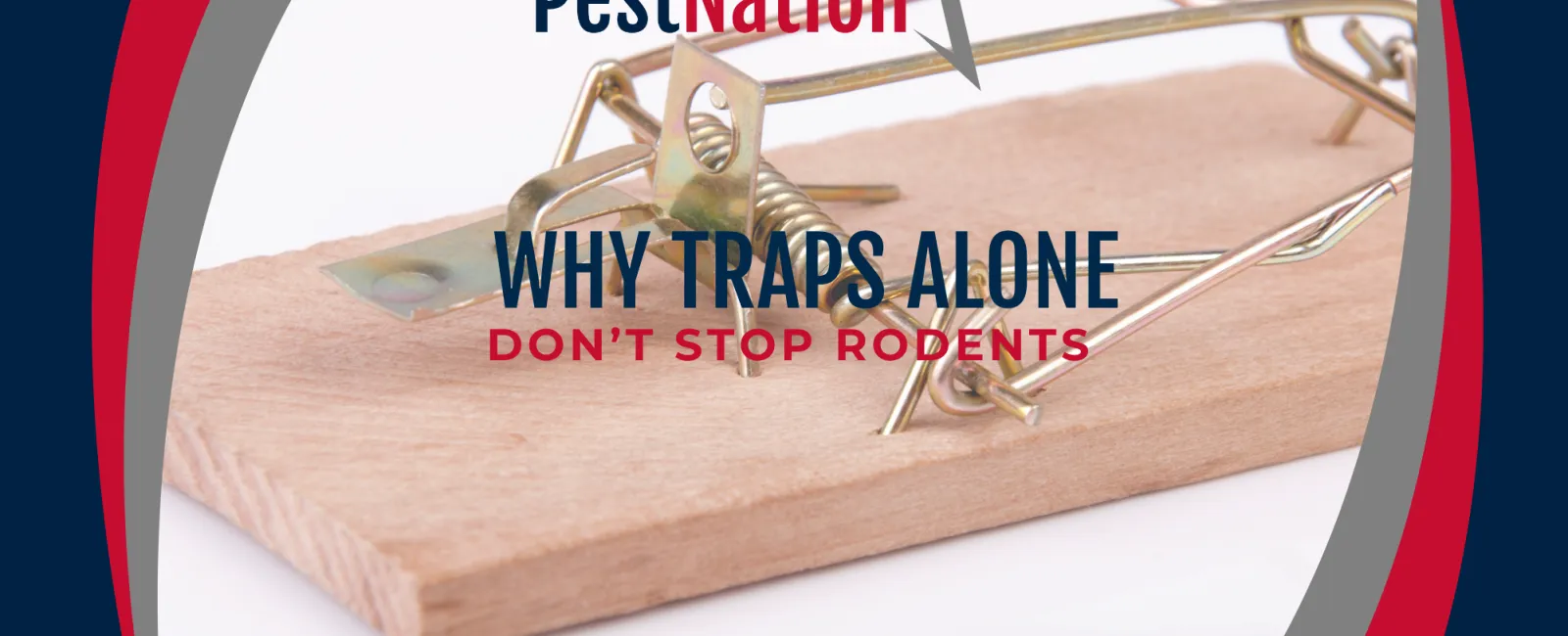 Why Traps Alone Don’t Stop Rodents